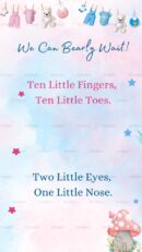 Gender reveal baby shower invite with pink and blue theme