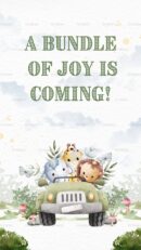 A bundle of joy baby shower invite with cute jungle animals