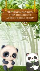 Cute baby panda with quote about tiny hands and toes